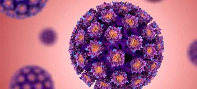HPV - адам папилломавирусы
